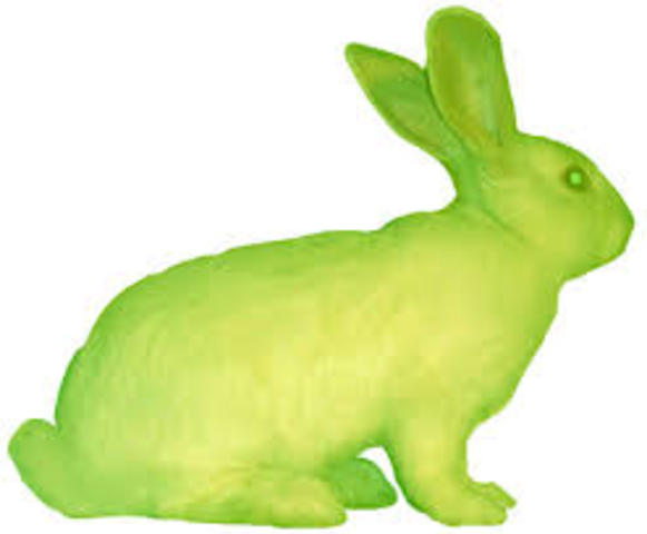 GFP Bunny
