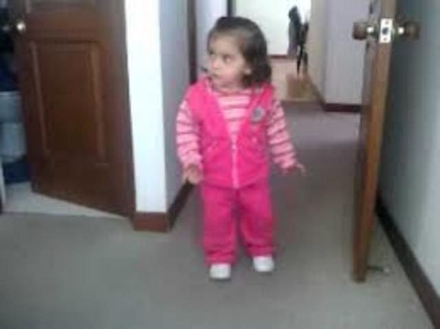 MIS PRIMEROS PASITOS