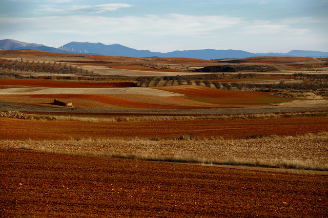 Se expide ley que suprimió el limite para adquisición de tierras