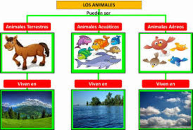 ¿Cómo se clasifican los animales según su hábitat?