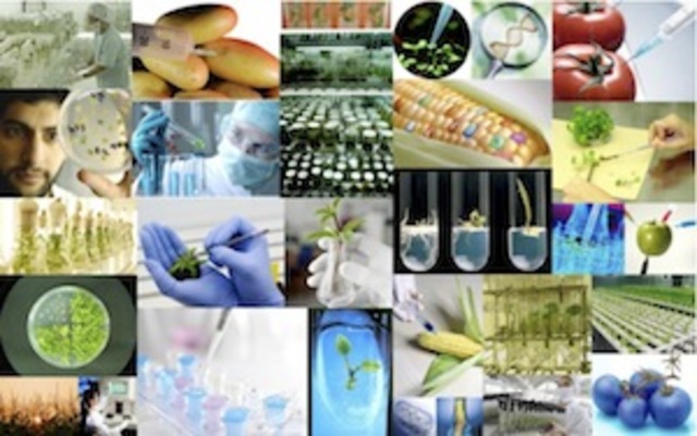 El Instituto Nacional de Tecnología Agropecuaria -INTA- comienza a dar cursos de formación agropecuaria - Belén -