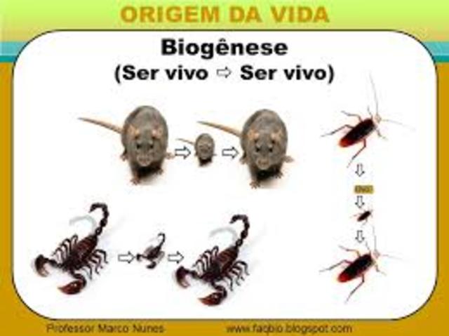 Teoria da Biogênese
