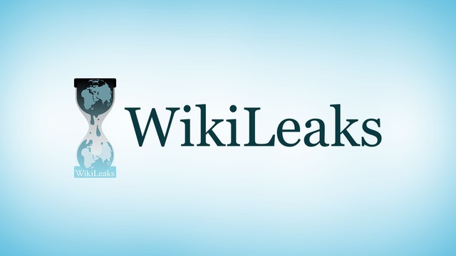 WikiLeaks works with news organizations on a series of major stories. The Iraq and Afghanistan war logs and Cablegate dominate the year and contribute to a broader interest in data journalism