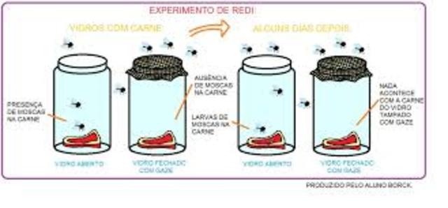 Experimento de Redi