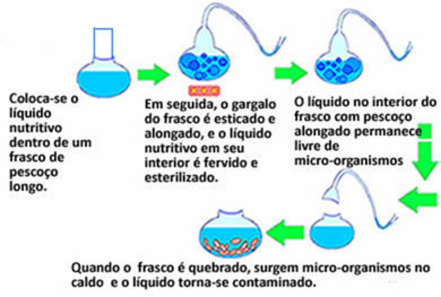 Experimento Abiogênese da Louis Pasteur
