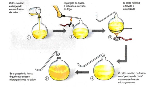 Teoria da biogênese