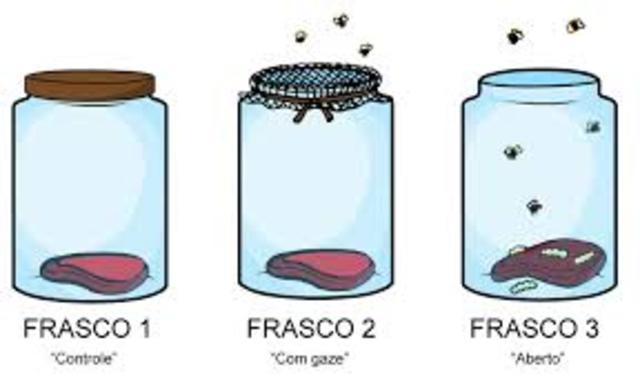 Experimento de Redi