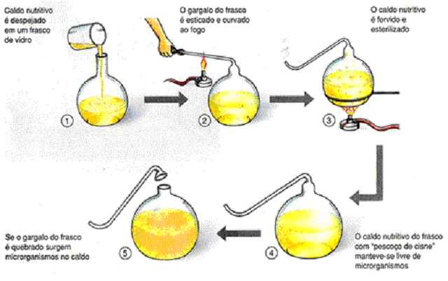 Teoria da Biogênese