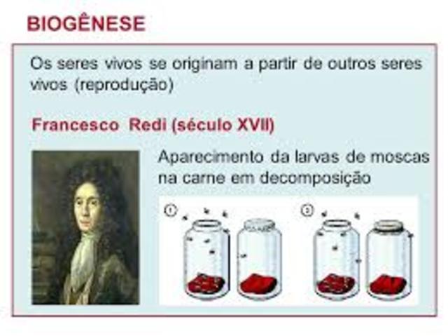 Teoria da Abiogênese e Biogênese