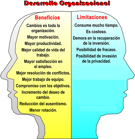 Teoría del Desarrollo Organización