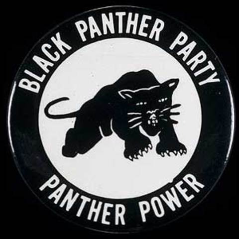 Creación del Partido Pantera Negra (Black Panther Party)