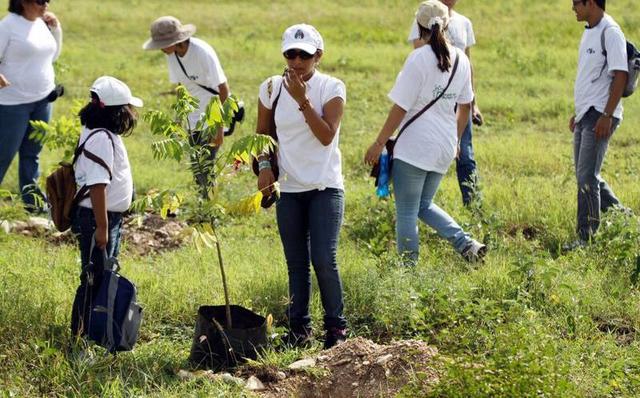 LEY DE CONSERVACIÓN Y DESARROLLO DEL ARBOLADO URBANO DEL ESTADO DE YUCATÁN