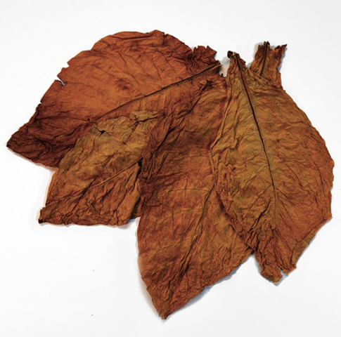 Se decretaron reformas fiscales que reducían aun más los aranceles del monopolio estatal del Chimó y mohó