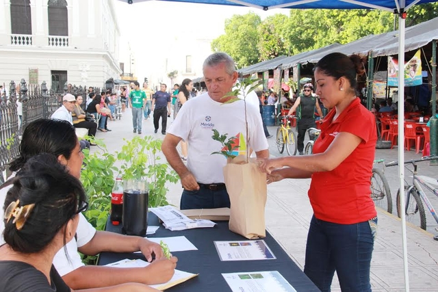 REGLAMENTO PARA LA PROTECCIÓN Y CONSERVACIÓN DEL ARBOLADO URBANO DEL MUNICIPIO DE MÉRIDA.