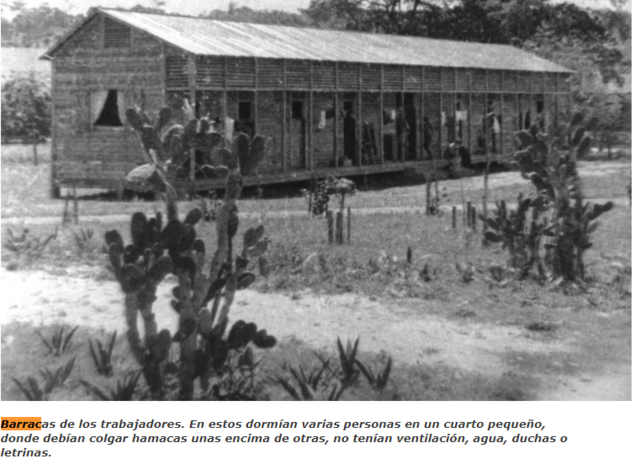 United Fruit Company