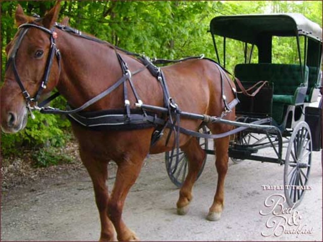 Fiona O'Reilly and Besa