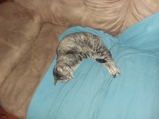 I have no idea what she's doing