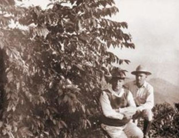 Se expande el cultivo del cafe