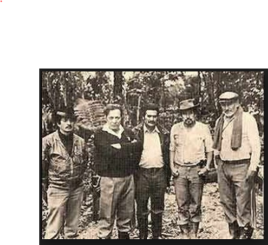 Nacimiento de las FARC