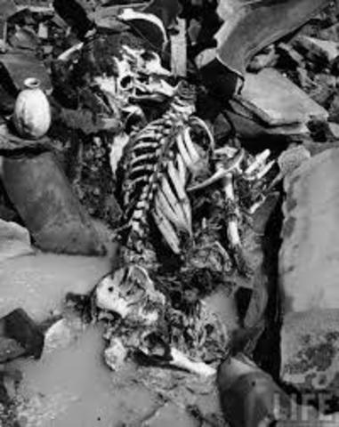 Dropping of the Atomic Bombs