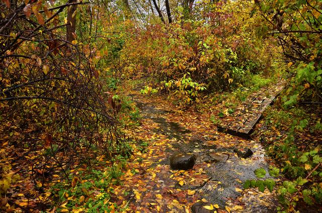 Fall 2018 Priority Decision Material Receipt Deadline