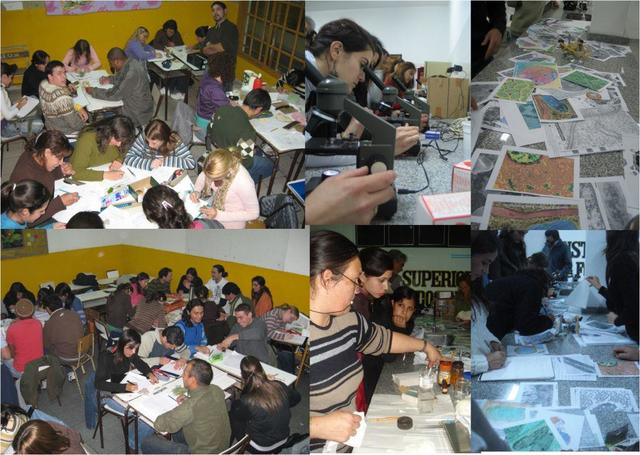 La gran decisión: Comienzo en el Profesorado