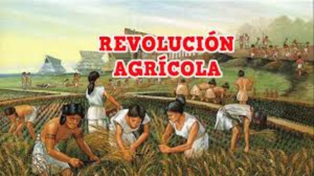 comenzó con la revolución agrícola (año 8000 A.C.