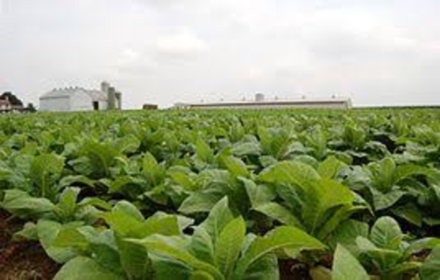 Abolición Monopolio de Tabaco