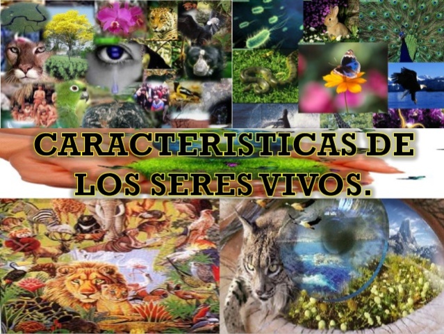 Características de los seres vivos.
