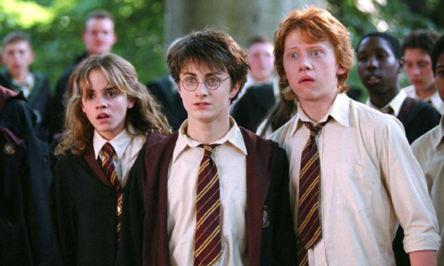 Just Like Your Father: Identity vs. Role Confusion