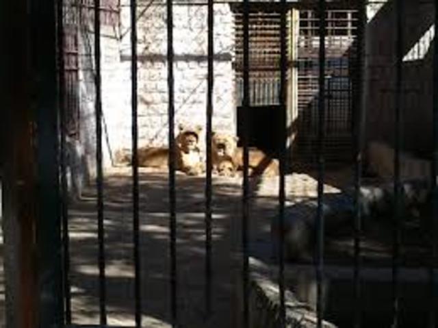 Encarcelamiento de Francisco de Asis