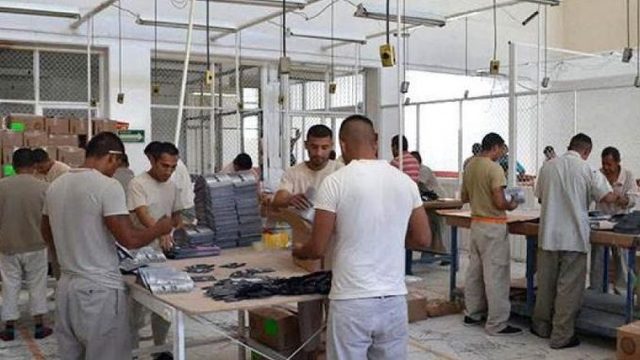 Reforma al artículo 18 Constitucional 2011