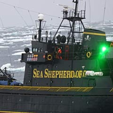 The whalers claim they have come under "attack" from lasers and a projectile launching device