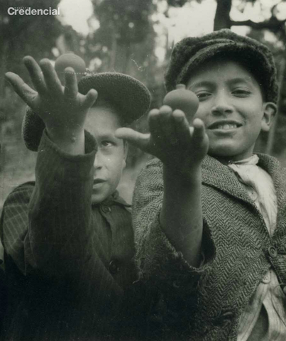 Ley 10,903 - Patronato de Menores o “Ley Agote”: (Argentina 1919)