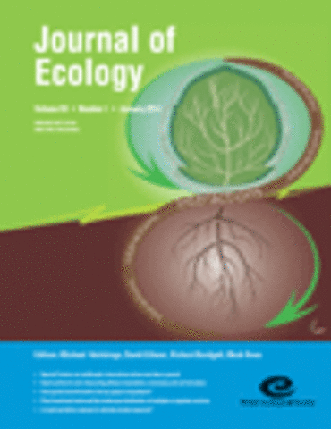 REVISTAS CIENTÍFICAS