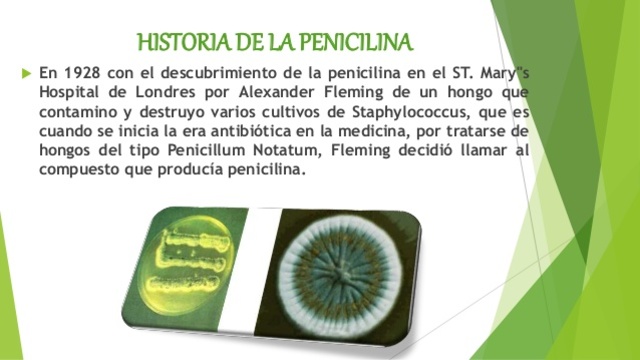 La penicilina