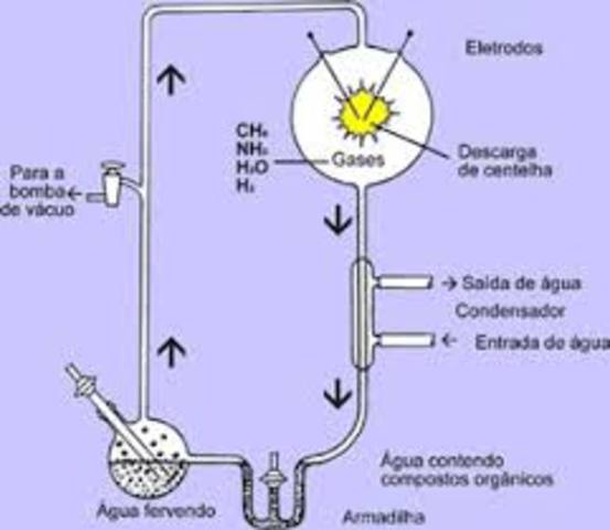 Teoria da evolução Molecular