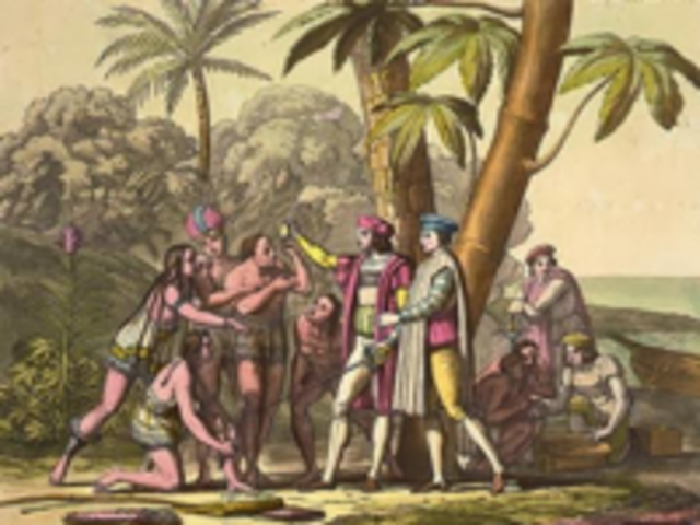 Cacao was discovered by Columbus