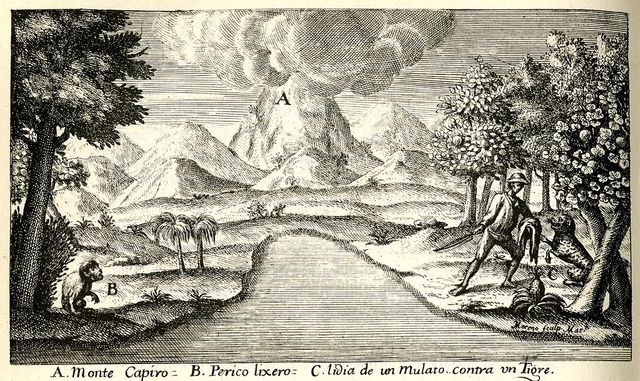 NUEVO REINO DE GRANADA