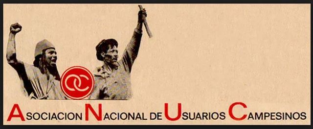 ASOCIACIÓN NACIONAL DE USUARIOS CAMPESIONOS