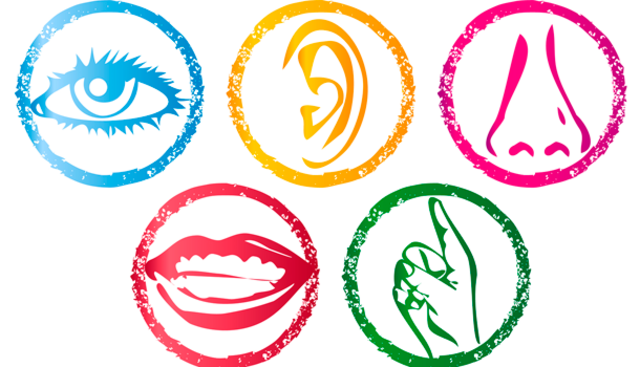Five Senses