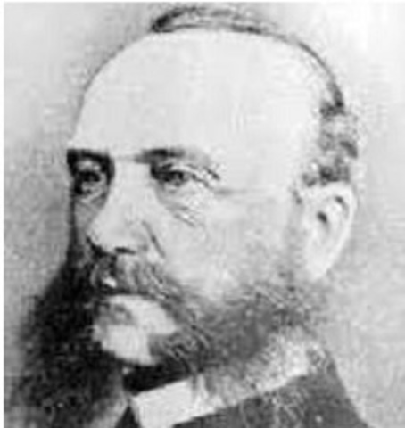 Enfermedad cerebral Greisinger