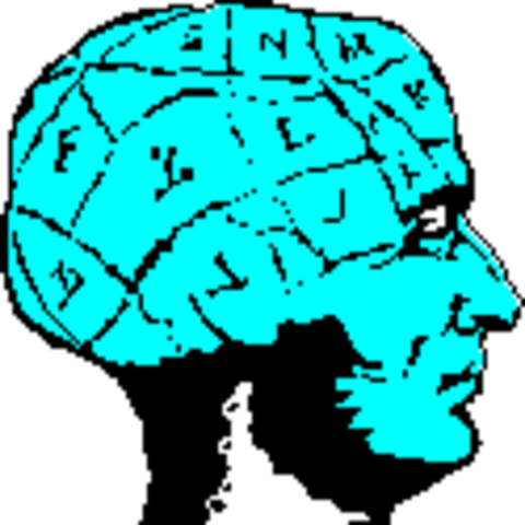 Neuroscience had its beginnings prior to the 20th century.