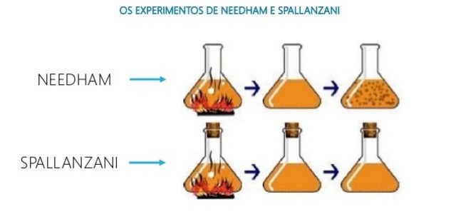 Experimento de Needham X Spallanzani