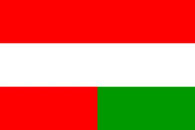 Austria Hungary declares war on Serbia