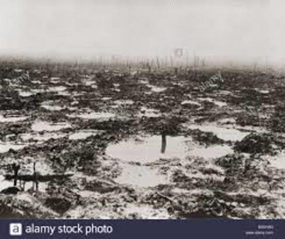 Muddy Fields in Ypres