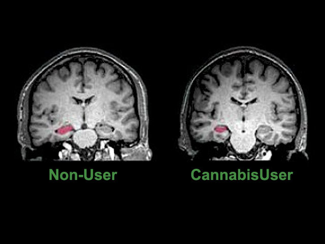 Effects on marijuana