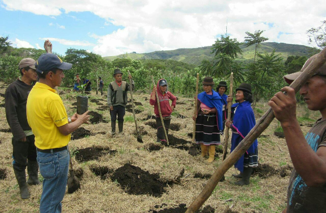 Derecho a la propiedad colectiva