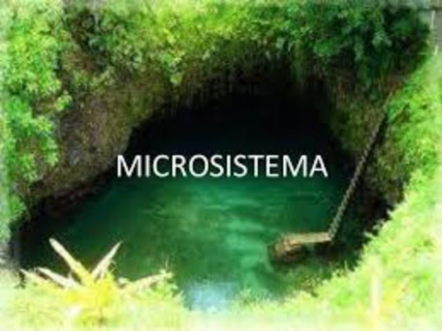 Microsistema