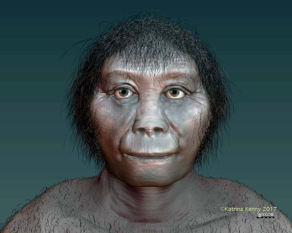 Homo Floriensis